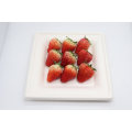 Biodegradable Sugarcane Bagasse Square Plate Wholesale for Cake/Fruit/Lunch/Dishes